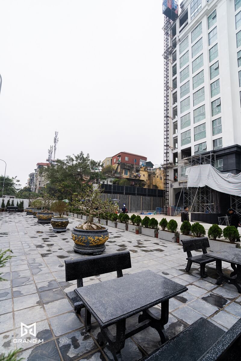 tien-do-the-gloria-nguyen-hong-2 tien-do-the-gloria-nguyen-hong-2