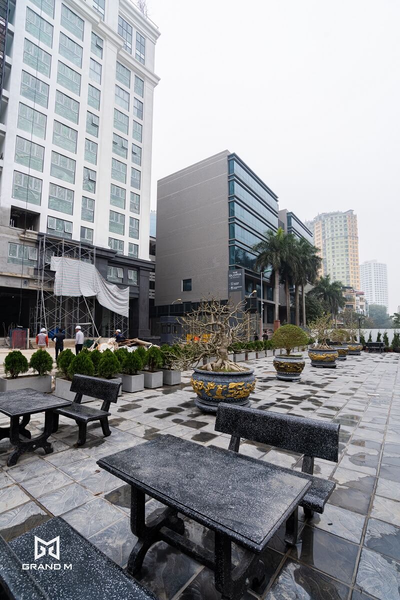 tien-do-the-gloria-nguyen-hong-5 tien-do-the-gloria-nguyen-hong-5